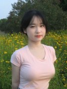 搭客能够出海看企鹅归巢